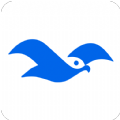 海鸥社交软件